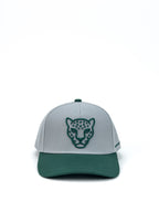 FEELDRAK CAP — WHITE / GREEN