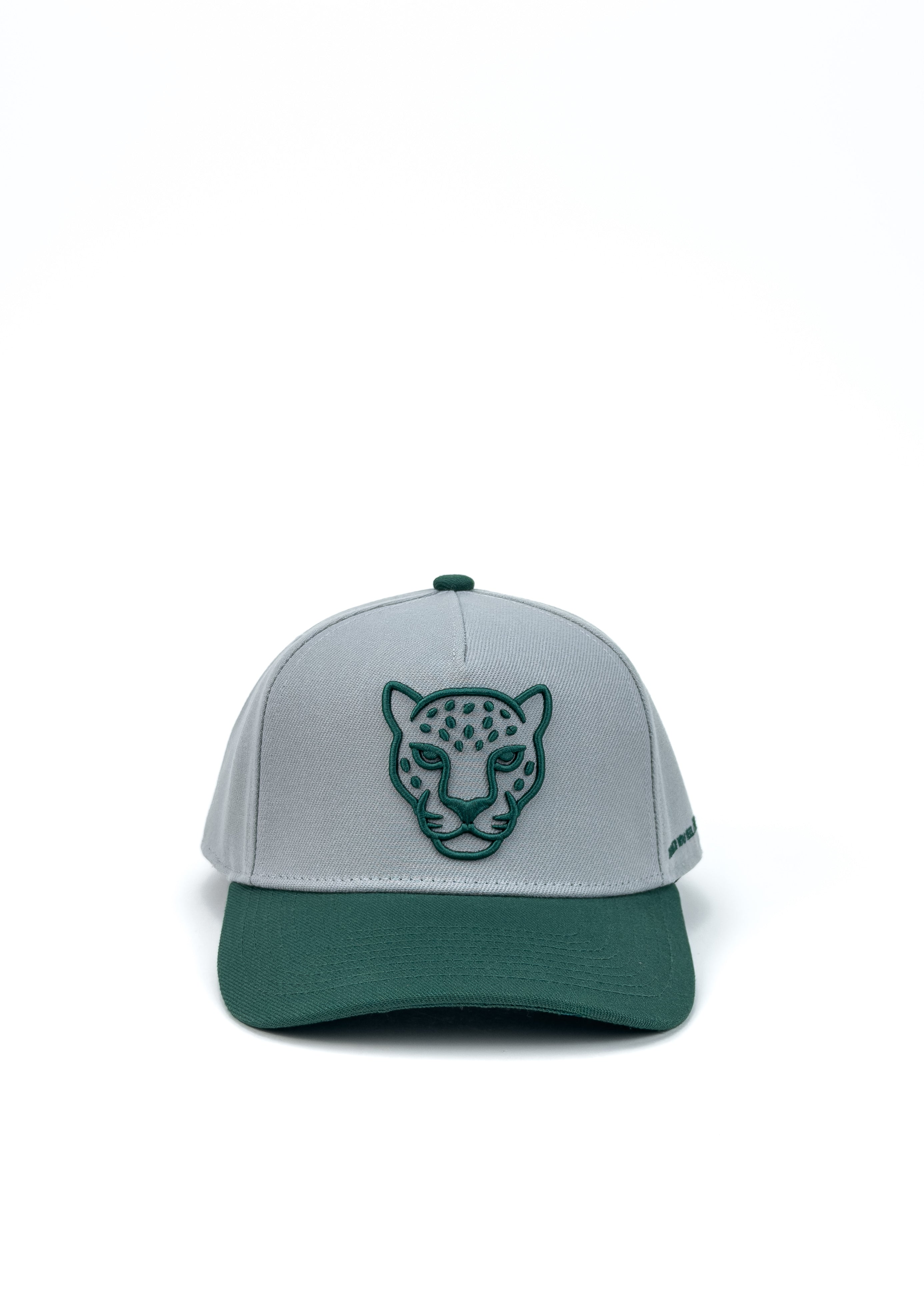 FEELDRAK CAP — WHITE / GREEN