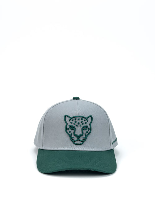 FEELDRAK CAP — WHITE / GREEN